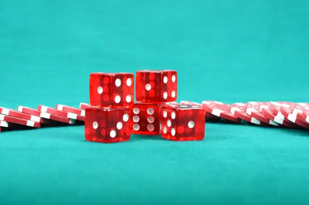 Player reviewing slot game paytable on smartphone at taya777 org